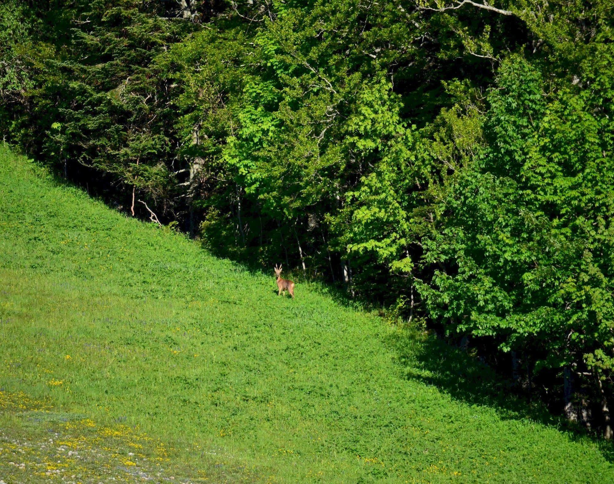 Val Lachard Villard-de-Lans Zewnętrze zdjęcie